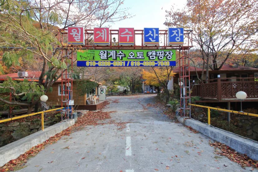 월계수 캠핑장 사진 9