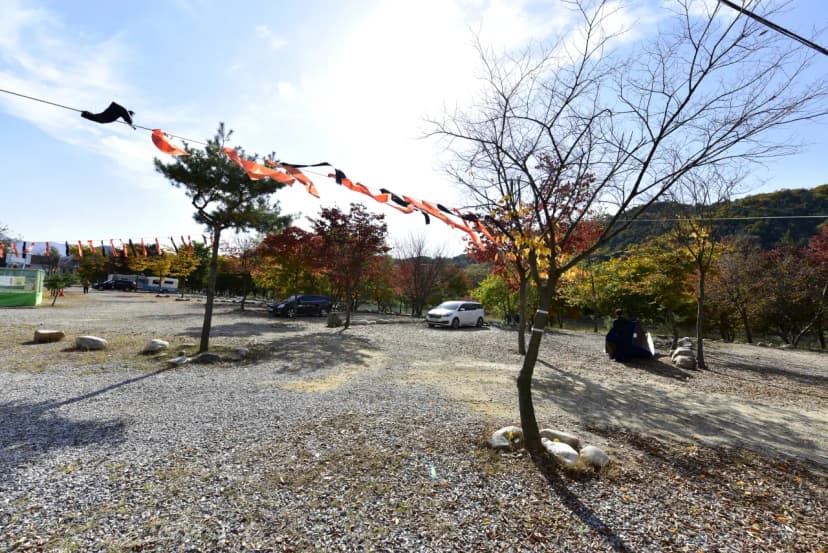은빛물결캠핑장 사진 17