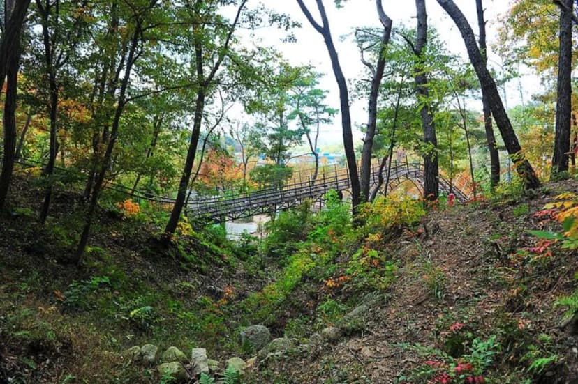 입화산 참살이숲 제2오토야영장 사진 3