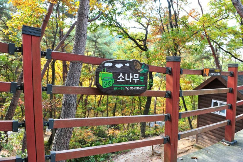 입화산 참살이숲 제2오토야영장 사진 5