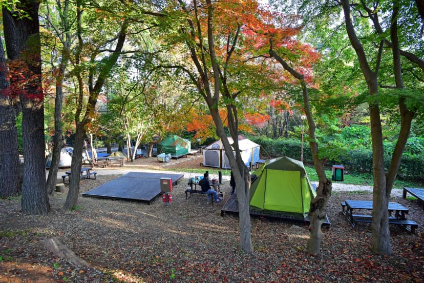 월출산국립공원 천황야영장 사진 12
