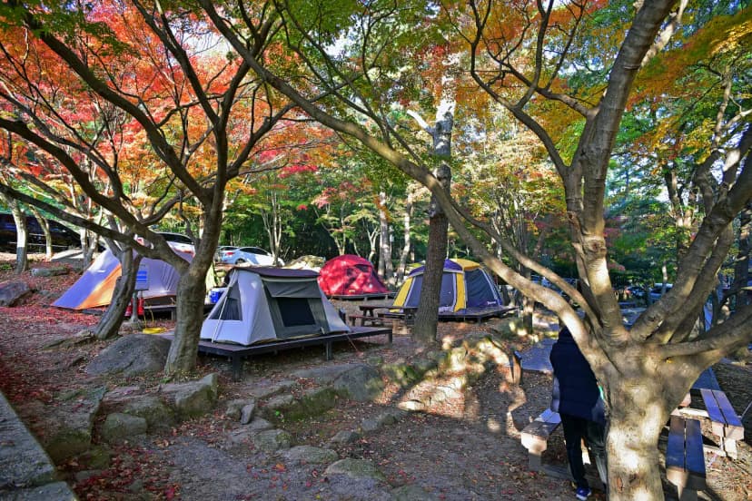 월출산국립공원 천황야영장 사진 14