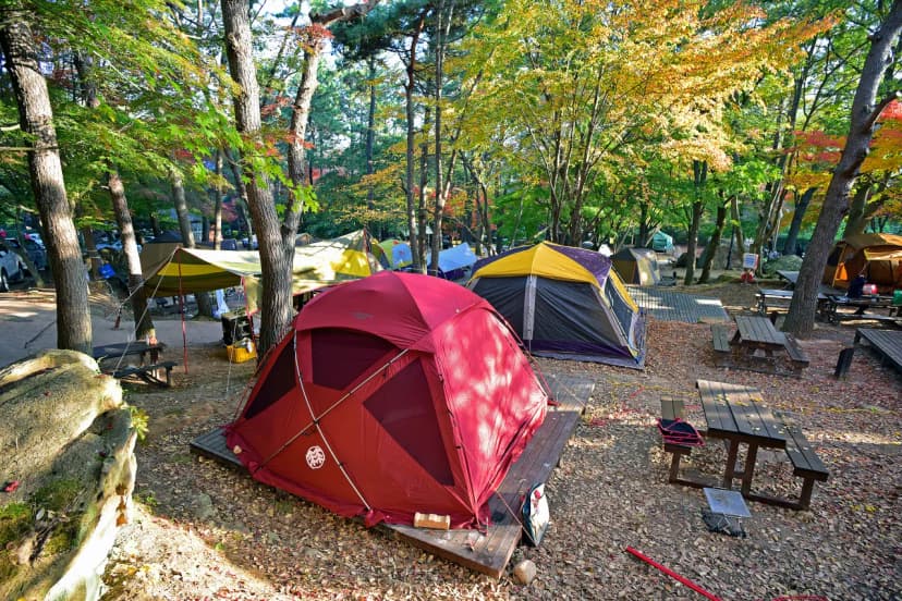 월출산국립공원 천황야영장 사진 15
