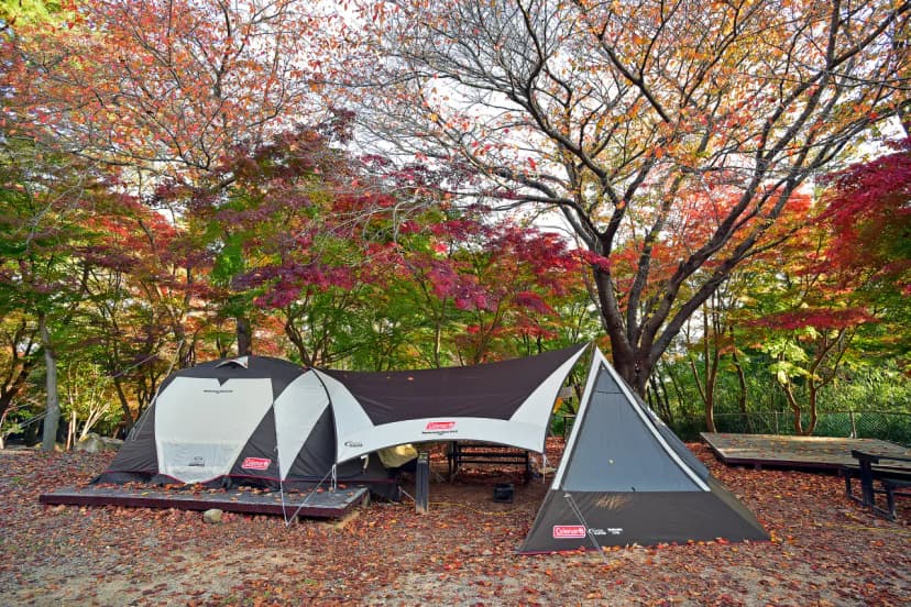 월출산국립공원 천황야영장 사진 17