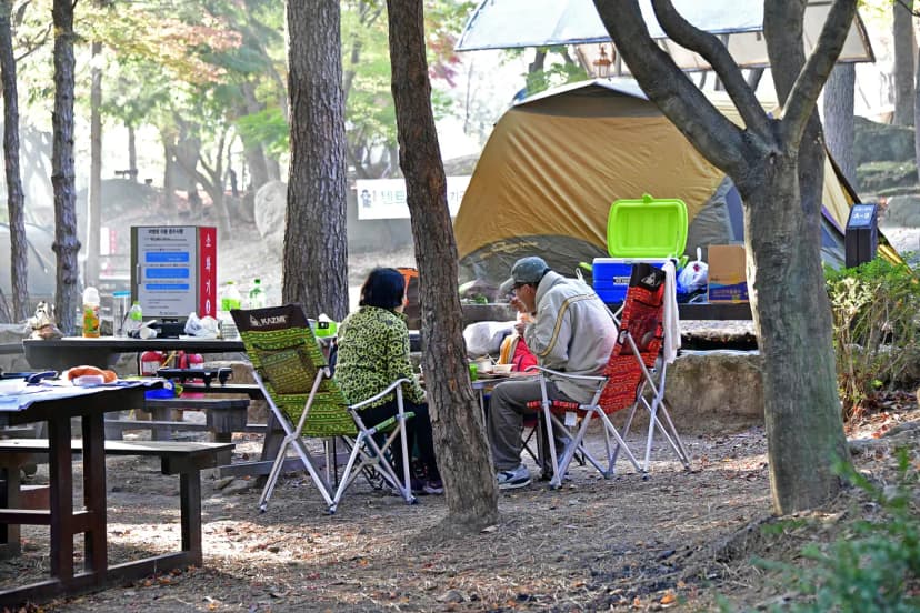 월출산국립공원 천황야영장 사진 19