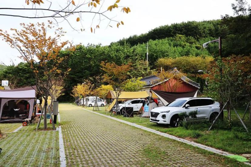 통제영오토캠핑장 사진 3