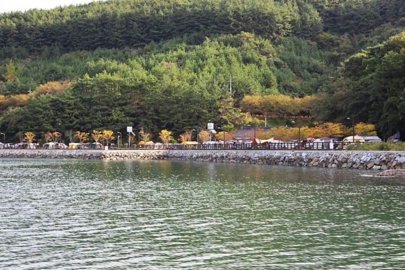 통제영오토캠핑장 사진 13