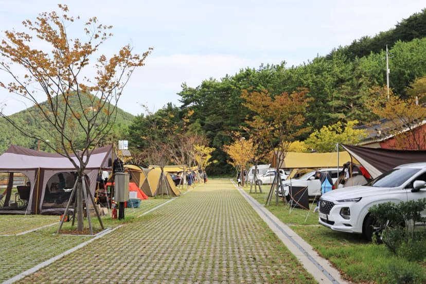 통제영오토캠핑장 사진 16