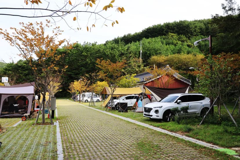 통제영오토캠핑장 사진 17