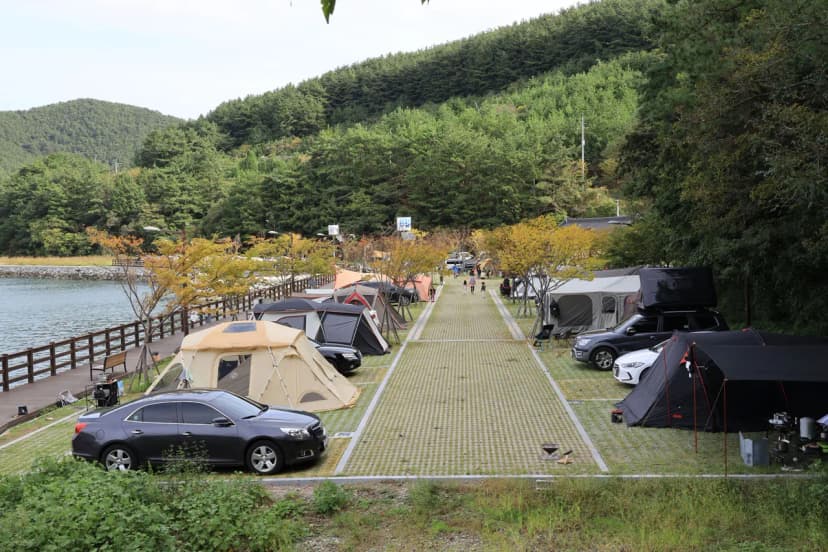 통제영오토캠핑장 사진 18