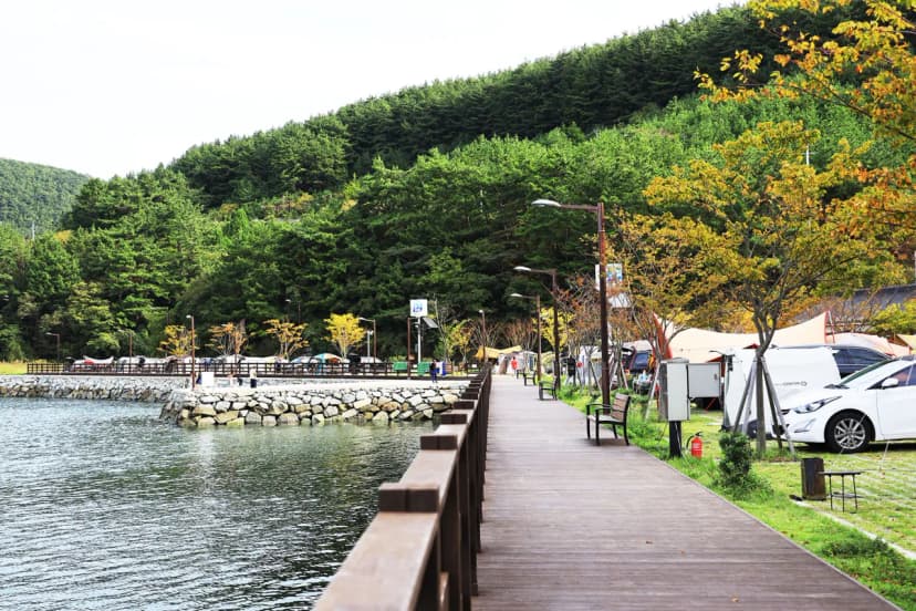 통제영오토캠핑장 사진 20