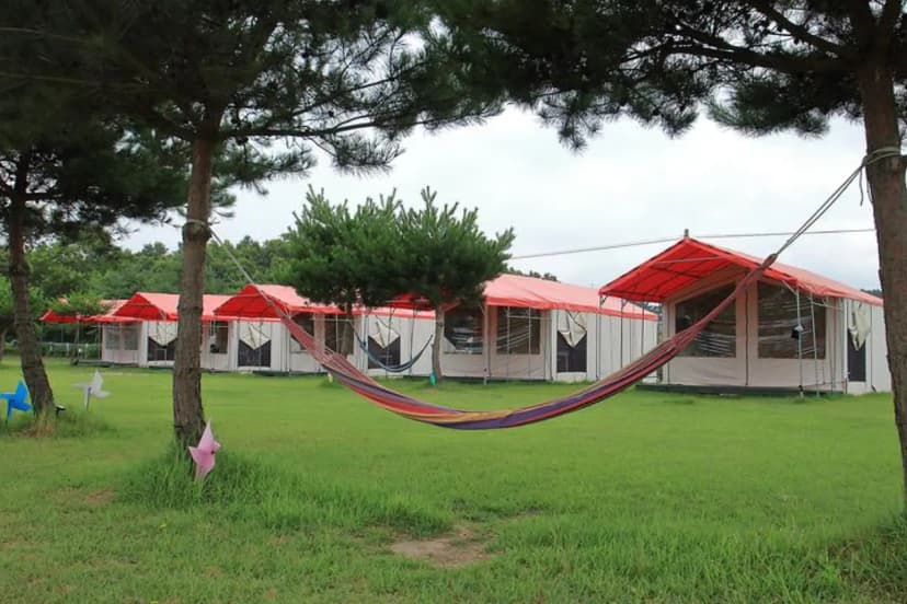 파라독스 애견펜션 / 돔글램핑&오토캠핑장 사진 3