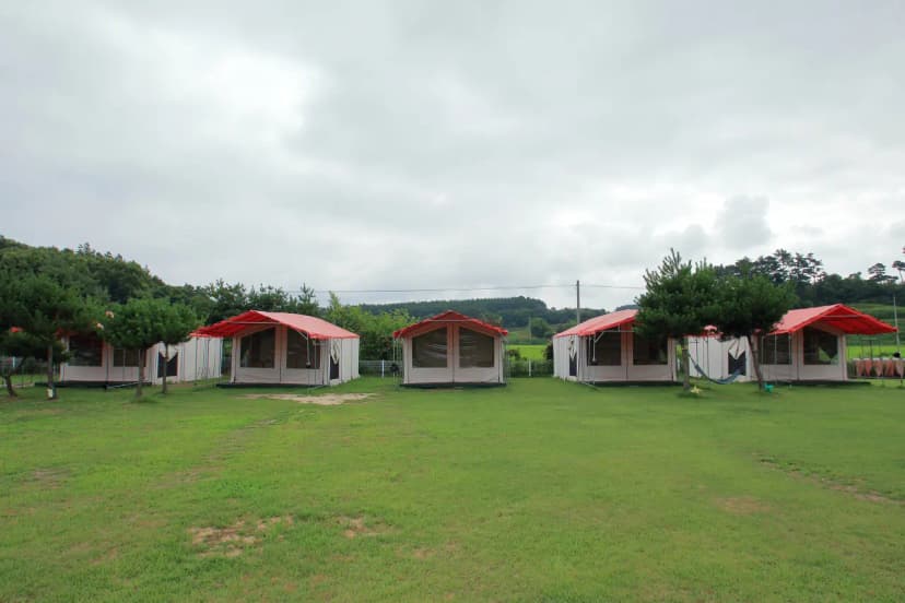 파라독스 애견펜션 / 돔글램핑&오토캠핑장 사진 12