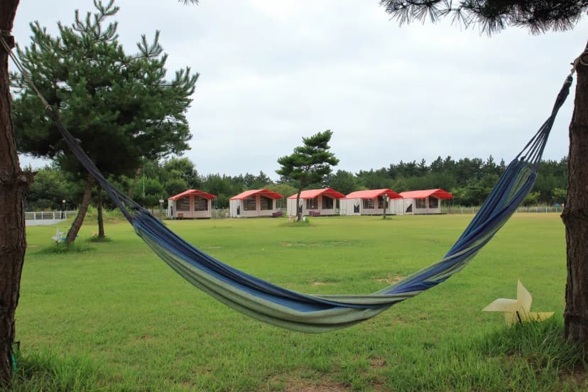 파라독스 애견펜션 / 돔글램핑&오토캠핑장 사진 13