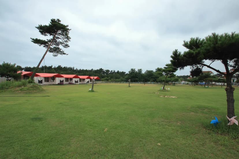 파라독스 애견펜션 / 돔글램핑&오토캠핑장 사진 16