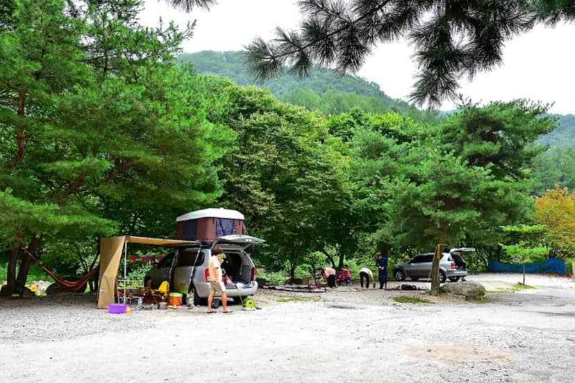 포천계곡캠핑장 사진 2