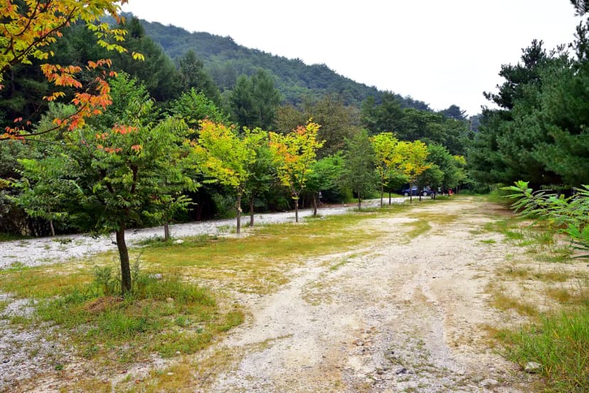 포천계곡캠핑장 사진 4
