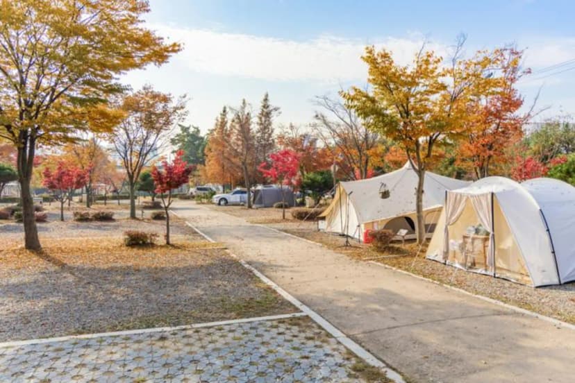 화성시 향남 오토캠핑장 사진 2