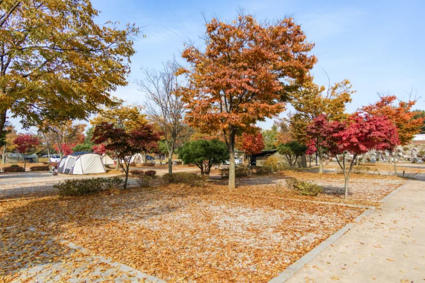 화성시 향남 오토캠핑장 사진 4