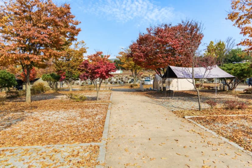 화성시 향남 오토캠핑장 사진 8