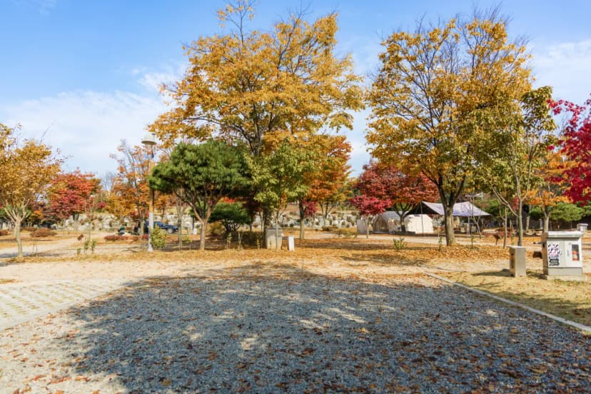 화성시 향남 오토캠핑장 사진 11