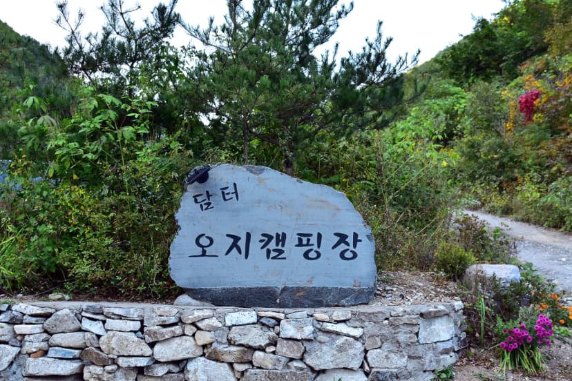 담터오지캠핑장 사진 4