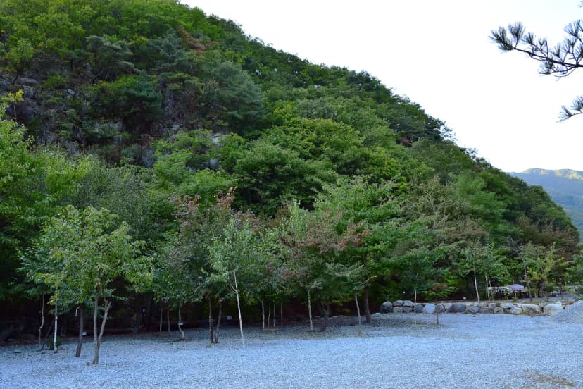 담터오지캠핑장 사진 10