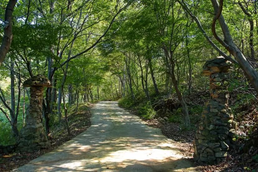 궁지골 농원 사진 1