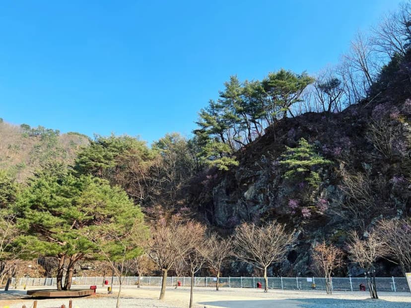 네스트캠핑장 사진 12