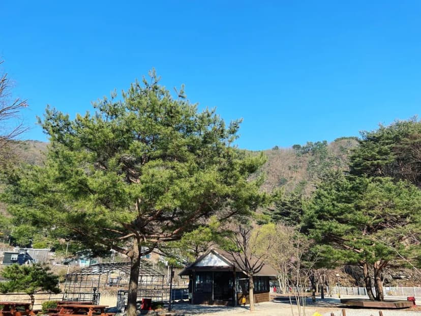 네스트캠핑장 사진 13