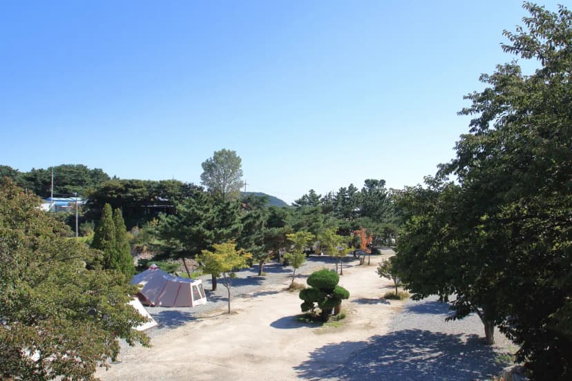 늘푸른캠핑장 사진 20