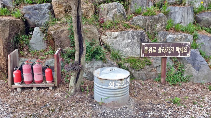 단풍숲캠핑장 사진 14