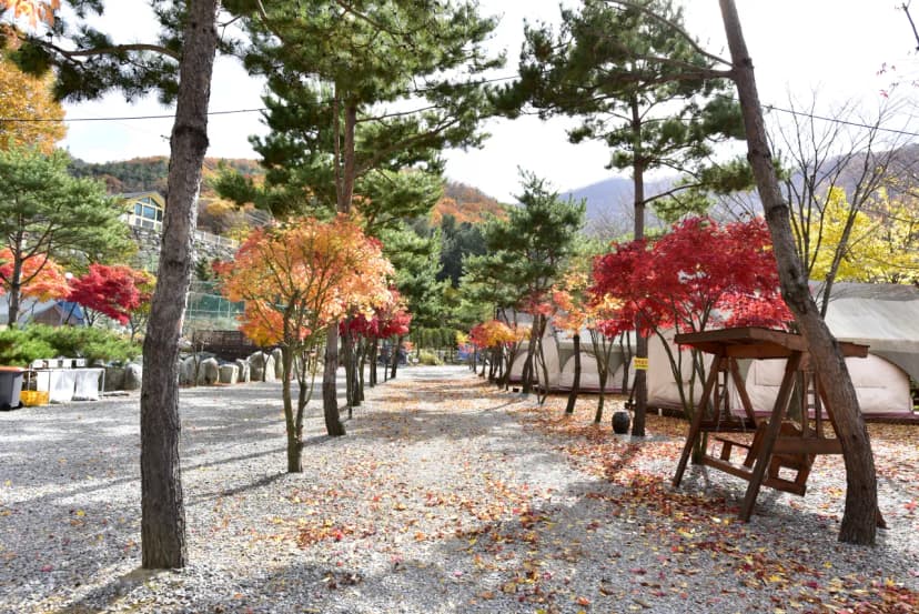 리즈밸리 사진 11
