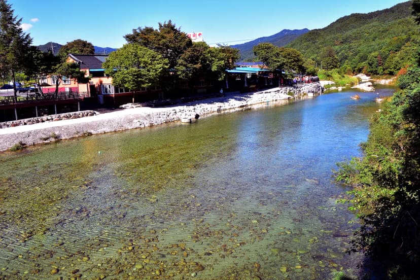 백운계곡캠핑장 사진 3