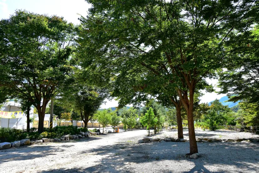 백운계곡캠핑장 사진 15
