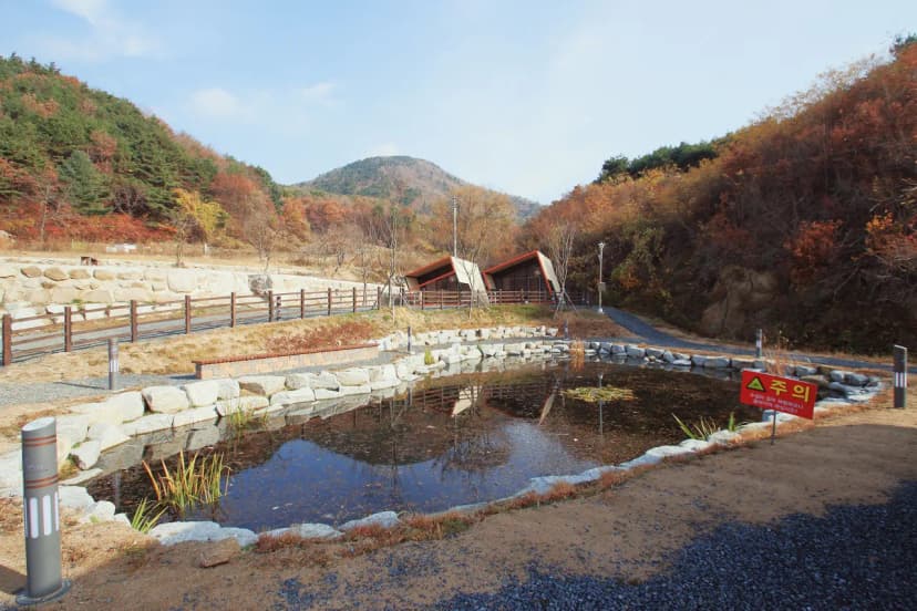 별빛테마마을 야영장 사진 12