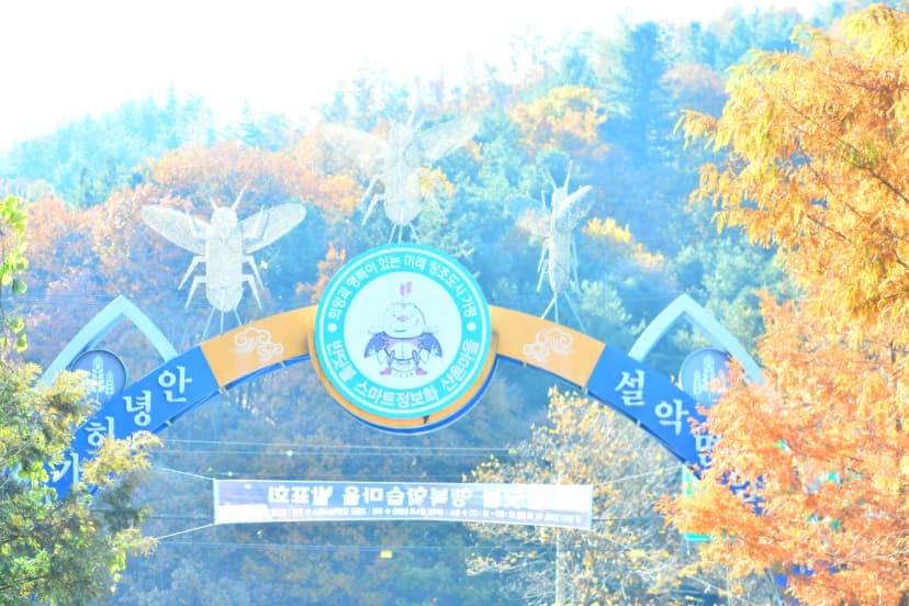 별빛오토캠핑장 사진 14