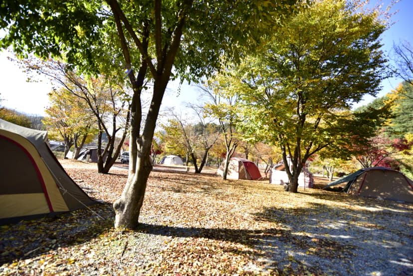별빛오토캠핑장 사진 16