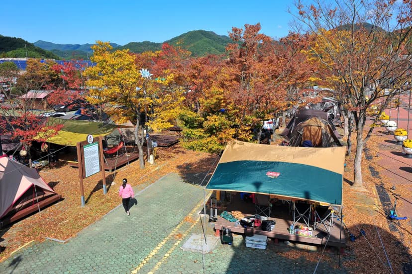 당항포관광지 오토캠핑장 사진 12
