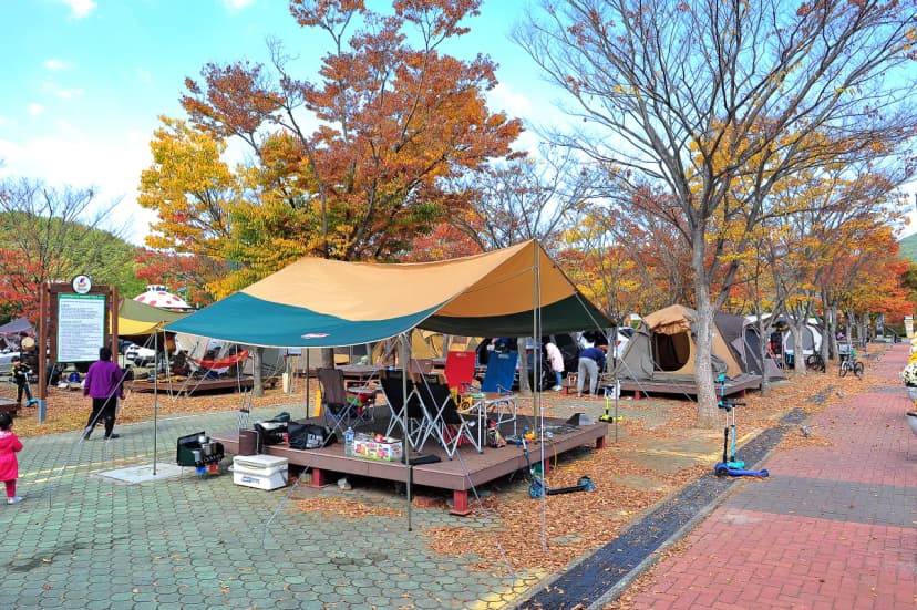 당항포관광지 오토캠핑장 사진 13