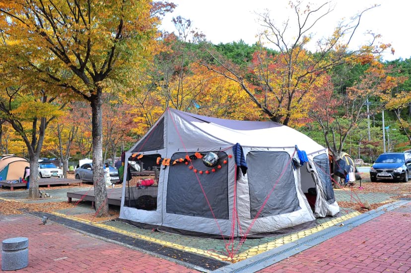 당항포관광지 오토캠핑장 사진 14
