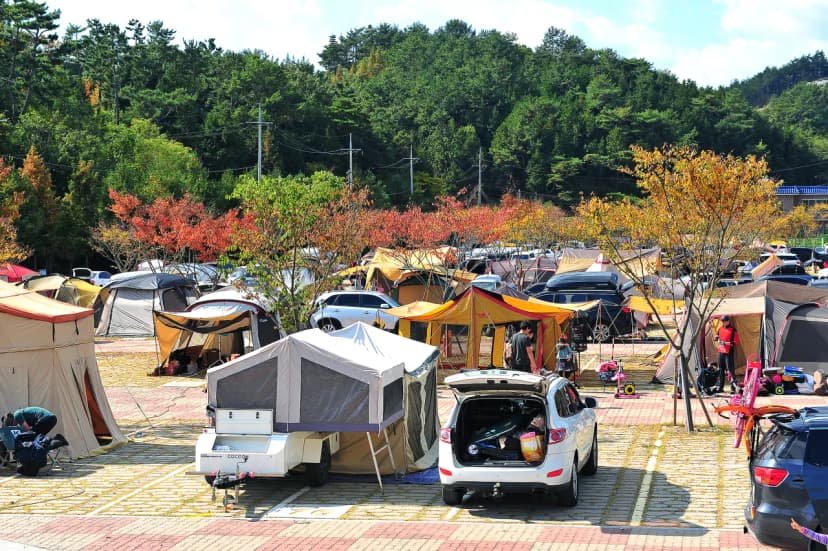당항포관광지 오토캠핑장 사진 20