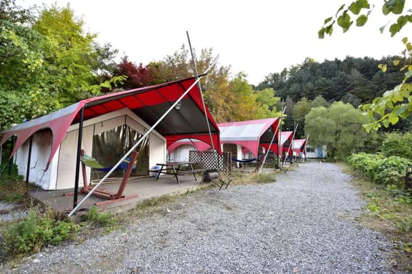산으로간 니모 캠핑장 사진 3