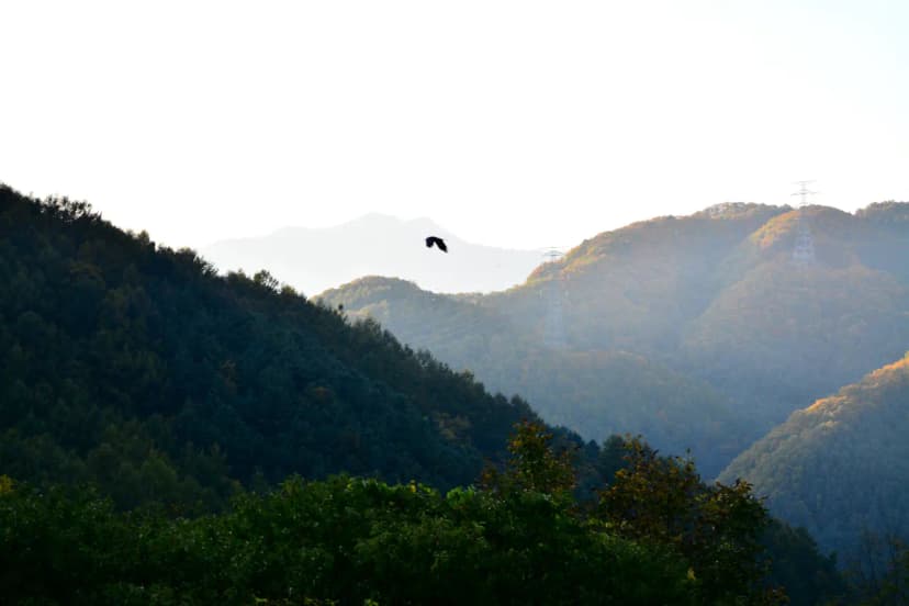 산으로간 니모 캠핑장 사진 9