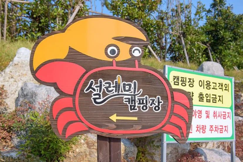 신안우전설레미캠핑장 사진 2