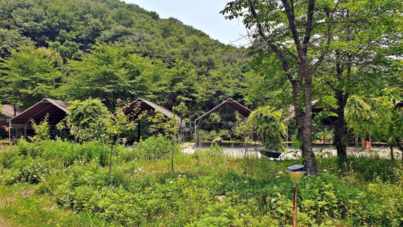 싱글벙글캠핑장 사진 14