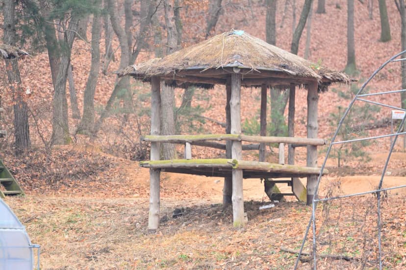 연미향마을 오토캠핑장 사진 21