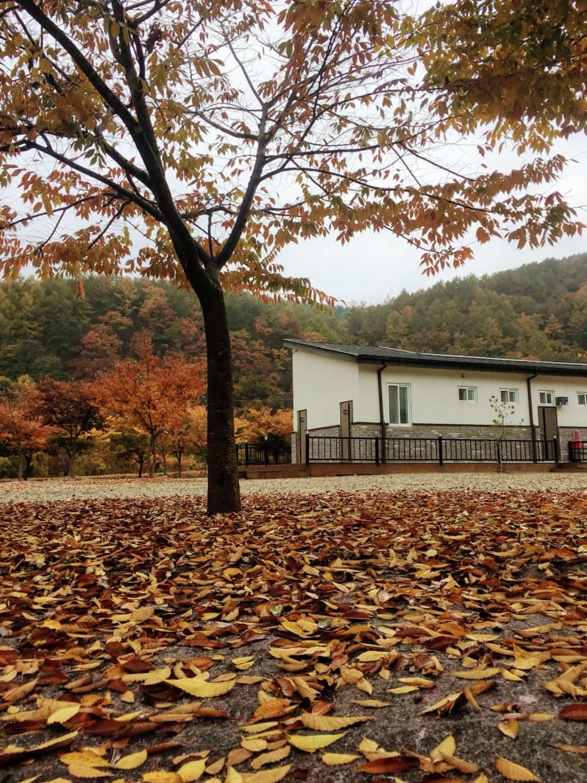 우리들캠핑장 사진 19