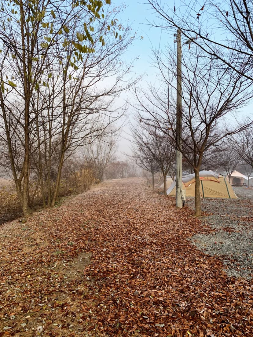 우리들캠핑장 사진 20