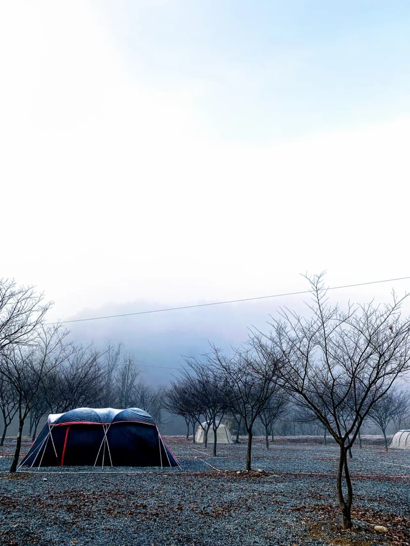 우리들캠핑장 사진 22